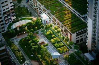 top view of building with trees